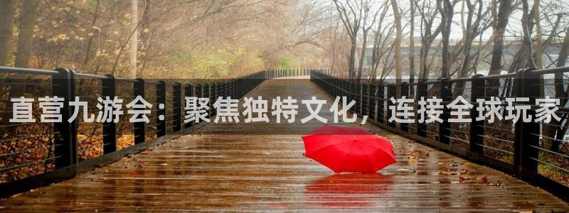 壹号app官网：直营九游会：聚焦独特文化，连接全球玩家
