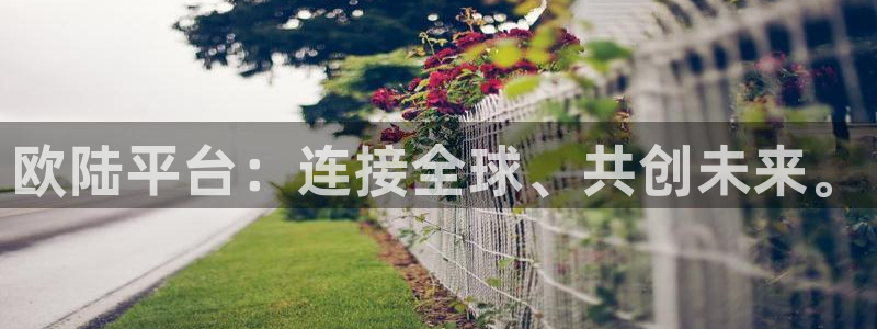 星耀国际下载入口：欧陆平台：连接全球、共创未来。