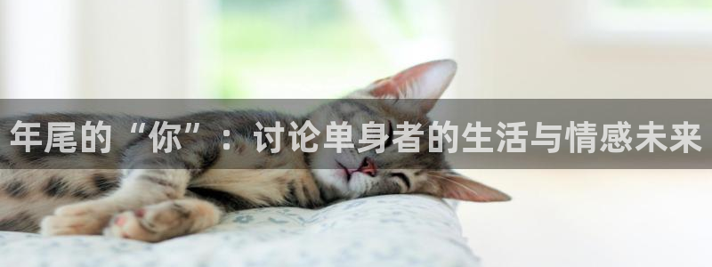 壹号大舞台28国际大舞台：年尾的“你”：讨论单身者的生活与情感未来