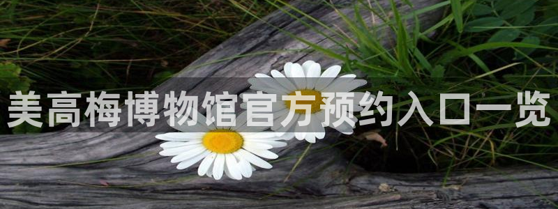 星耀国际.ccmpc正版：美高梅博物馆官方预约入口一览