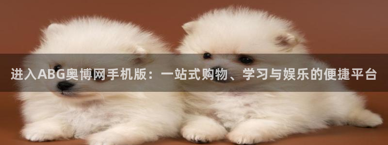 星耀国际平台app下载：进入ABG奥博网手机版：一站式购物、学习与娱乐的便捷平台