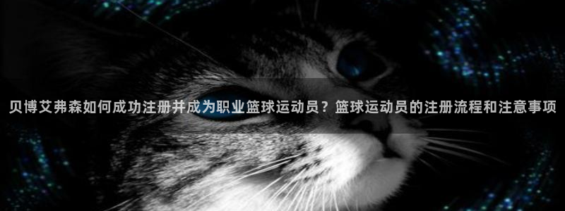星耀国际app入口：贝博艾弗森如何成功注册并成为职业篮球运动员？篮球运动员的注册流程和注意事项