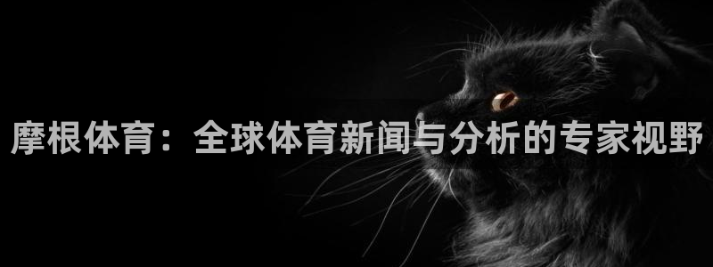 星耀国际官网入口：摩根体育：全球体育新闻与分析的专家视野