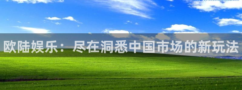 星耀国际是大平台吗：欧陆娱乐：尽在洞悉中国市场的新玩法