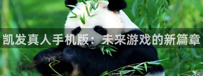 星耀国际下载入口：凯发真人手机版：未来游戏的新篇章