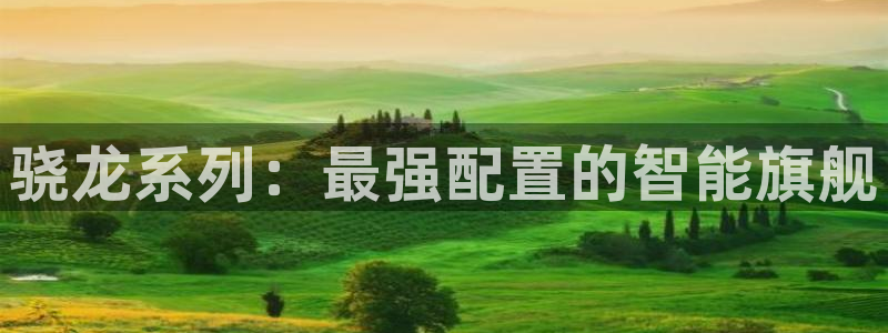 壹号官网app下载安装：骁龙系列：最强配置的智能旗舰
