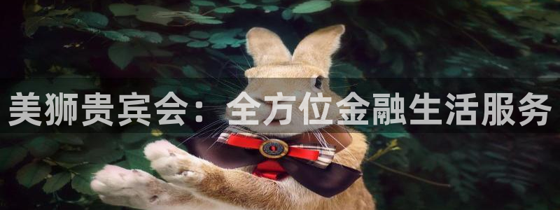 星耀国际注册链接：美狮贵宾会：全方位金融生活服务