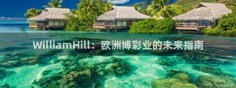 星耀国际.com：WilliamHill：欧洲博彩业的未来指南