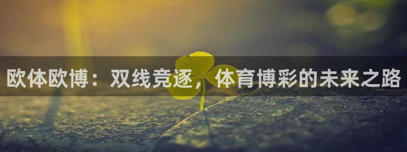 星耀国际app新版上线体验.游戏更新入口.中国：欧体欧博：双线竞逐，体育博彩的未来之路