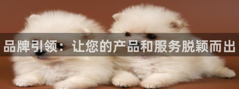 星耀国际quan28.cc：品牌引领：让您的产品和服务脱颖而出