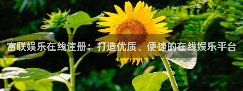 星耀国际链接：富联娱乐在线注册：打造优质、便捷的在线娱乐平台