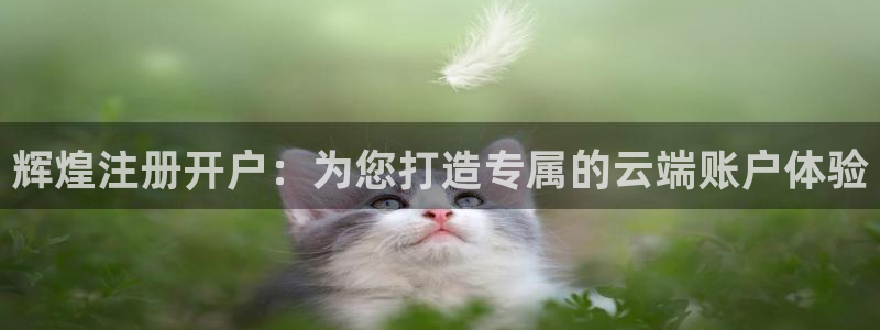 pg星耀国际平台下载入口：辉煌注册开户：为您打造专属的云端账户体验