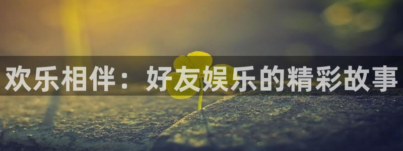 星耀国际app下载安装：欢乐相伴：好友娱乐的精彩故事