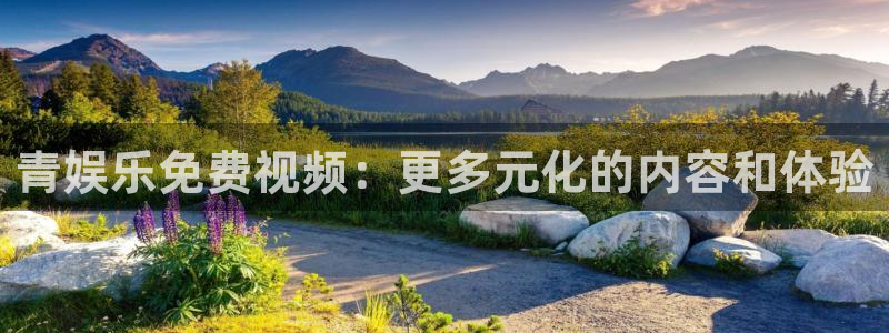 星耀国际怎么下载：青娱乐免费视频：更多元化的内容和体验