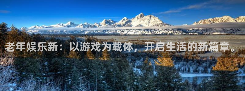 壹号app下载苹果：老年娱乐新：以游戏为载体，开启生活的新篇章。