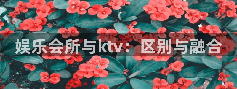 壹号大舞台有梦你就来：娱乐会所与ktv：区别与融合