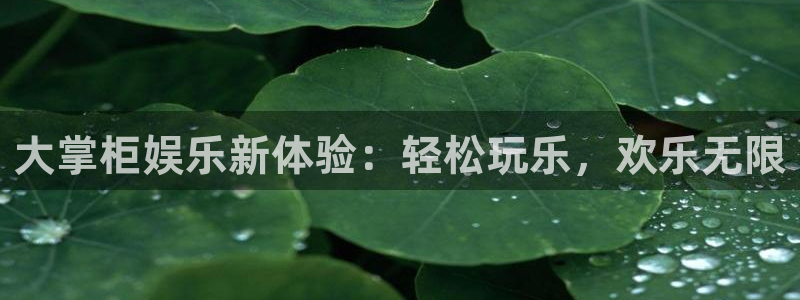 星耀国际平台：大掌柜娱乐新体验：轻松玩乐，欢乐无限