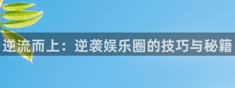 星耀国际平台官网版下载：逆流而上：逆袭娱乐圈的技巧与秘籍