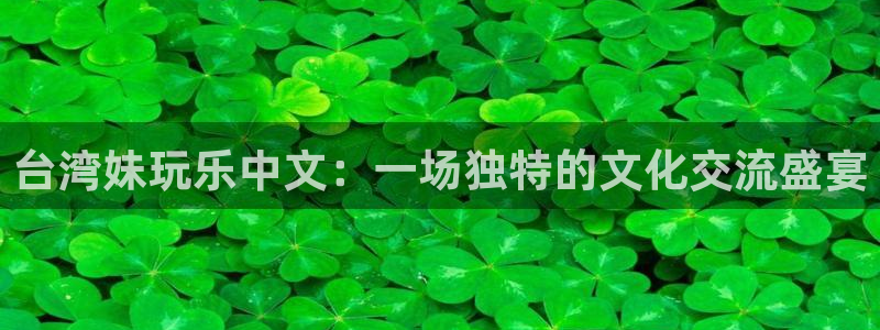 星耀国际app官网下载：台湾妹玩乐中文：一场独特的文化交流盛宴