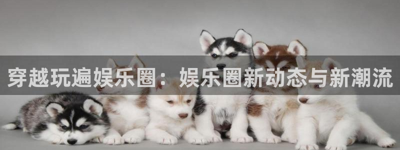 星耀国际平台官网版最新：穿越玩遍娱乐圈：娱乐圈新动态与新潮流