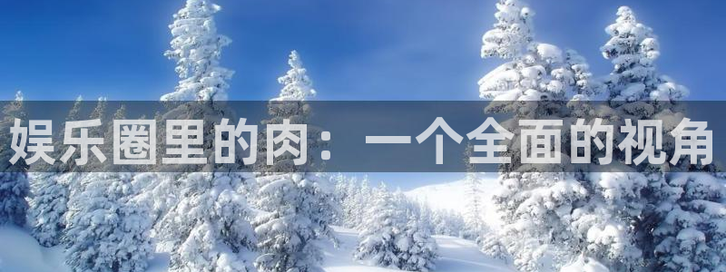 星耀国际预测pc在线预测网址：娱乐圈里的肉：一个全面的视角