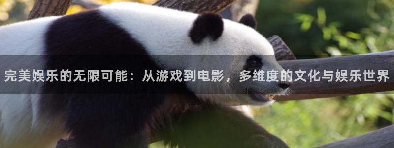 星耀国际下载地址：完美娱乐的无限可能：从游戏到电影，多维度的文化与娱乐世界