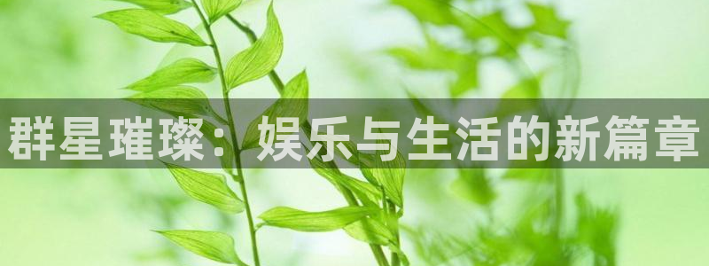 星耀国际电玩网官网入口：群星璀璨：娱乐与生活的新篇章
