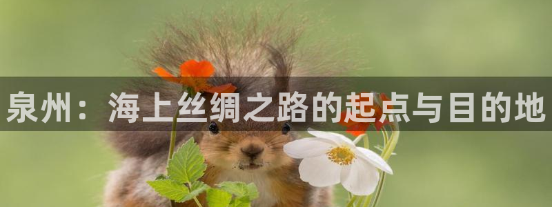 星耀国际链接：泉州：海上丝绸之路的起点与目的地