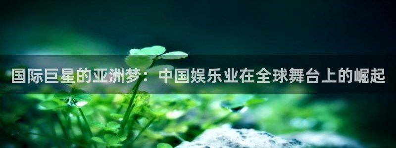 星耀国际赏金女王：国际巨星的亚洲梦：中国娱乐业在全球舞台上的崛起