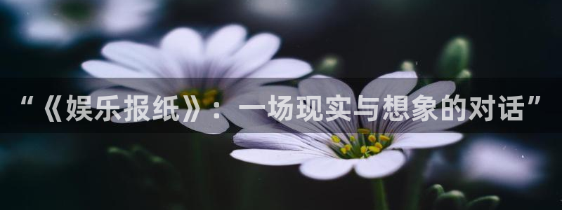 星耀国际,com：“《娱乐报纸》：一场现实与想象的对话”