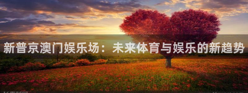 星耀国际官网：新普京澳门娱乐场：未来体育与娱乐的新趋势