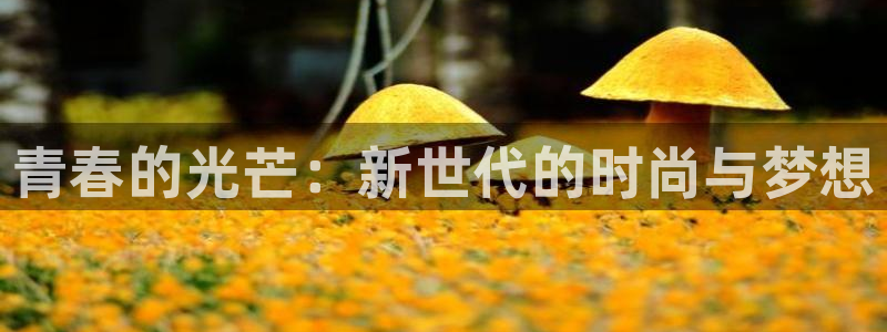 星耀国际网站：青春的光芒：新世代的时尚与梦想