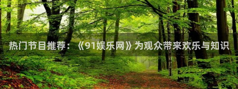 星耀国际下载二维码：热门节目推荐：《91娱乐网》为观众带来欢乐与知识