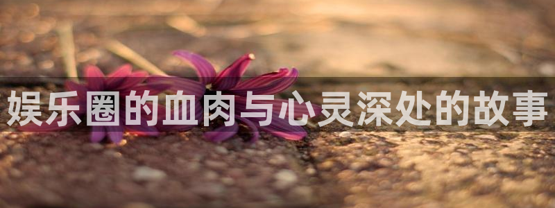 苹果版星耀国际下载安装：娱乐圈的血肉与心灵深处的故事