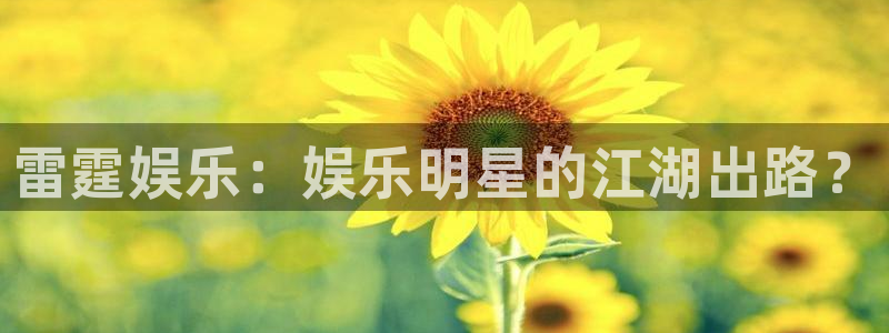 星耀国际app：雷霆娱乐：娱乐明星的江湖出路？