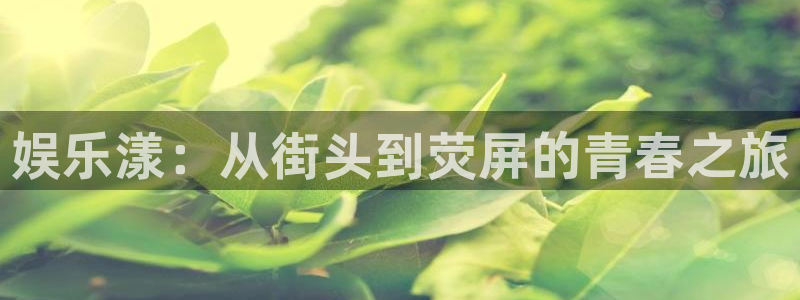 壹号大舞台怎么下载：娱乐漾：从街头到荧屏的青春之旅